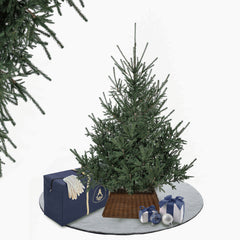 Alpine Premium Fir Tree