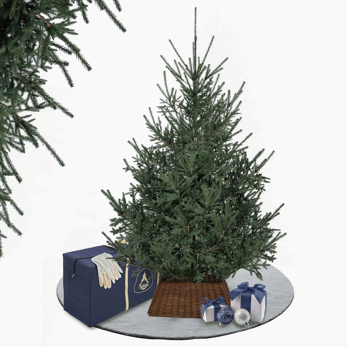 Alpine Premium Fir Tree