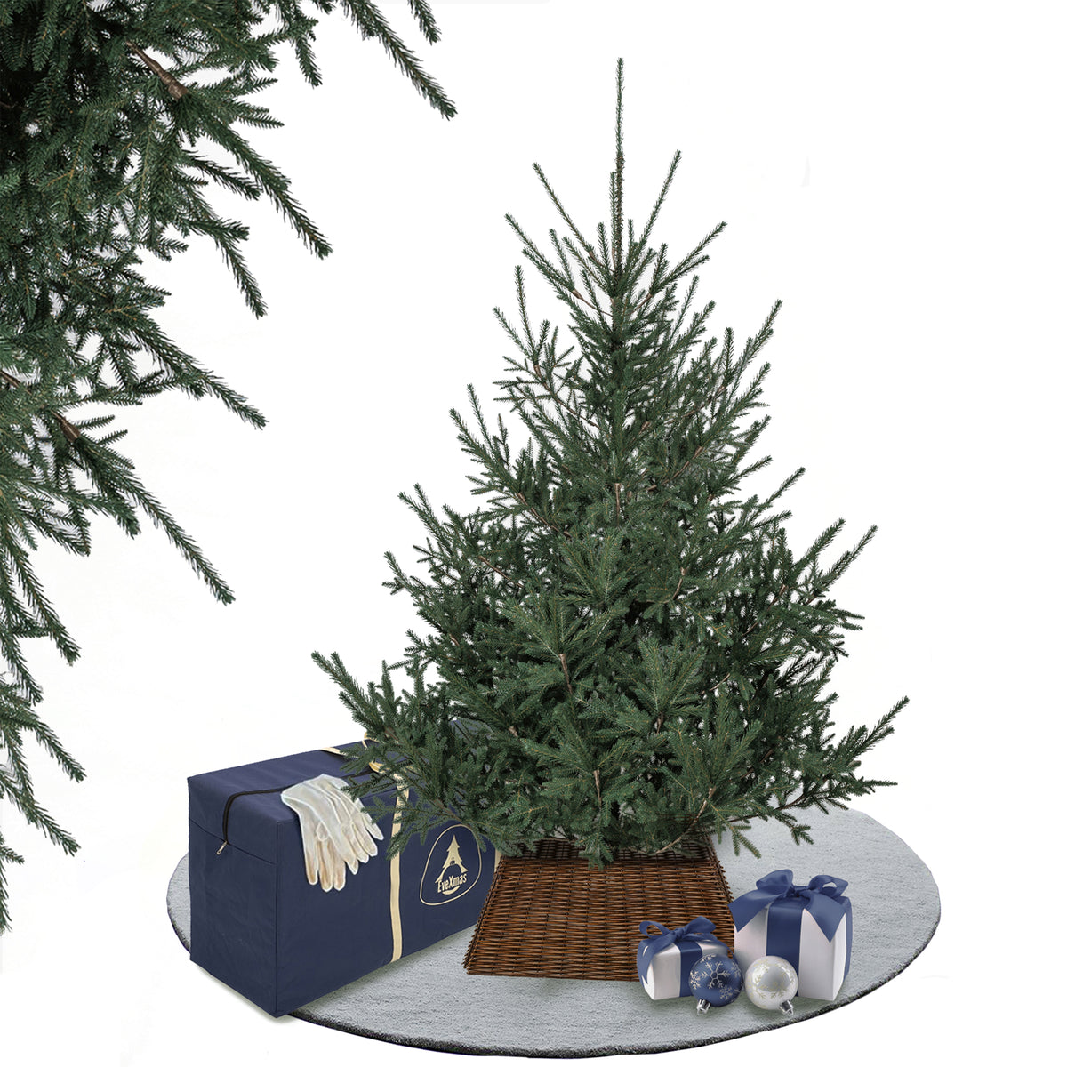 evexmas – Alpine Premium evexmas – Alpine Premium