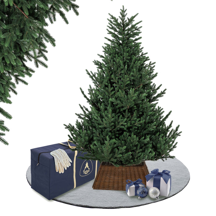 Onyx Spruce Tree