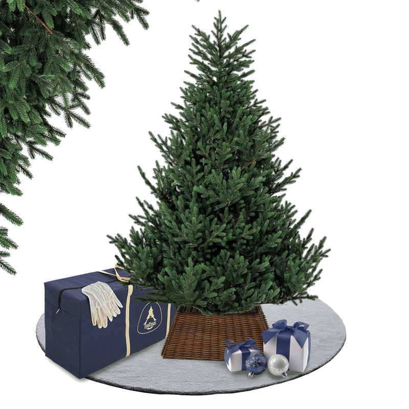 Onyx Spruce Tree