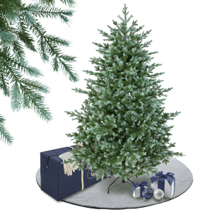 Canadian Fir Tree
